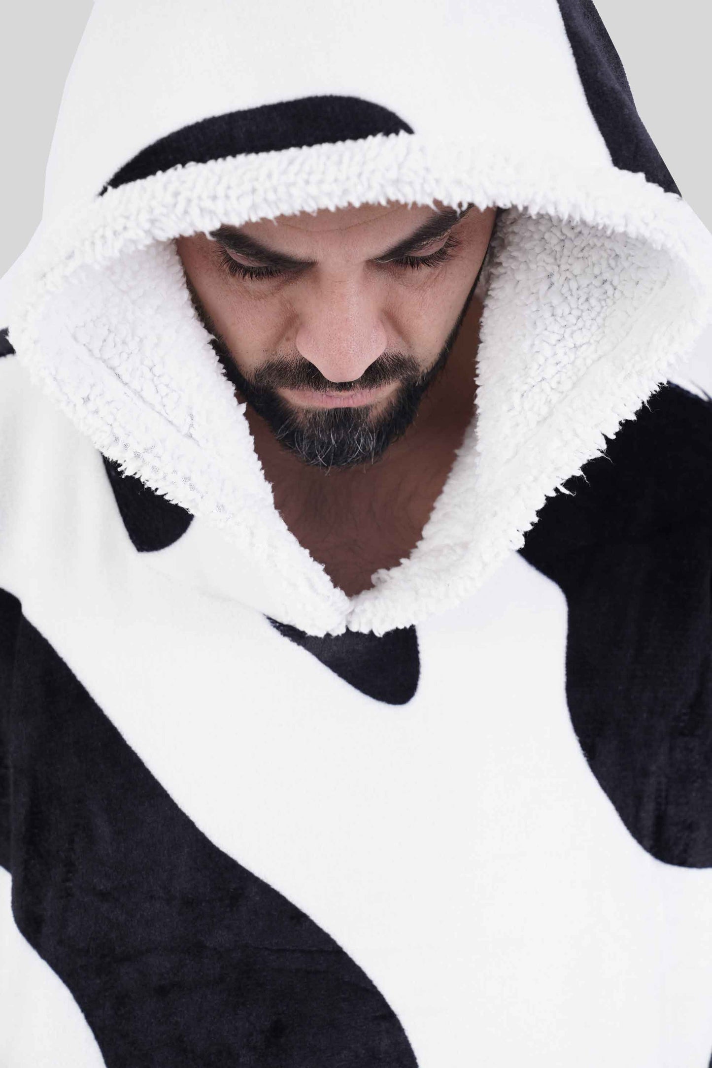 סהרה הודיז בוגרים - פרה